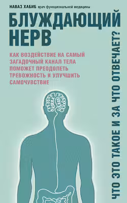 Блуждающий нерв. Что это такое и за что отвечает?