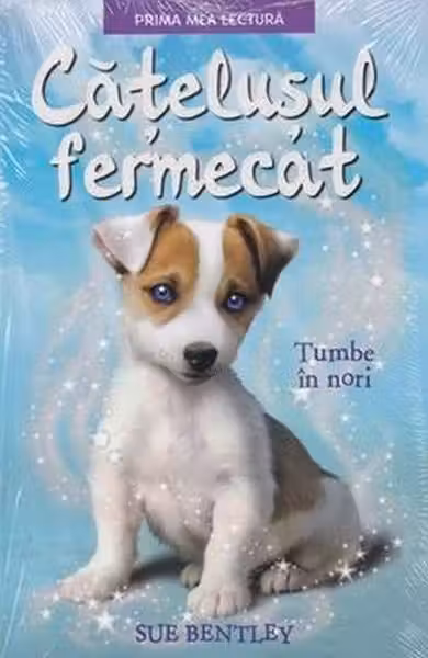 Prima mea lectura CATELUSUL FERMECAT. TUMBE