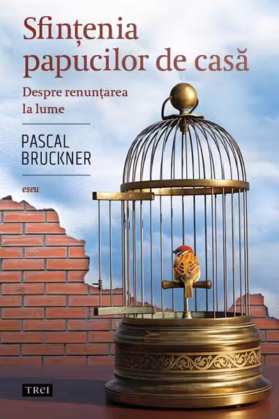Sfintenia papucilor de casa