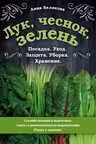 Лук, чеснок, зелень