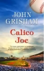 Calico Joe