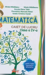 Matematica. Caiet de lucru clasa a 4-a