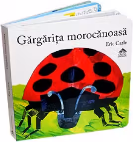 Gargarita morocanoasa