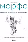 МОРФО. Скелет и мышцы человека. Анатомия для художников