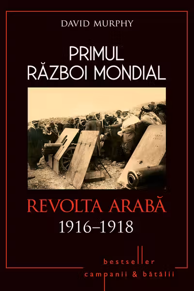 Primul Razboi Mondial. Revolta Araba 1916-1918