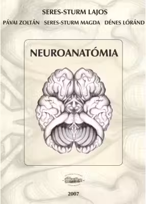 Neuroanatomia limba maghiara - Seres-Sturm Lajos