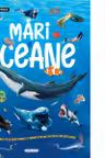Mari si oceane