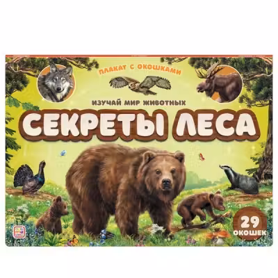 Плакат с окошками. Секреты леса
