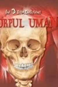 Corpul uman in 3 dimensiuni