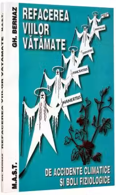 Refacerea viilor vatamate