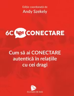 6C Conectare