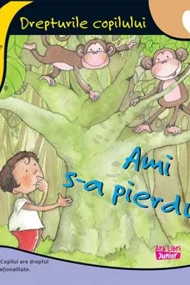 Ami s-a pierdut