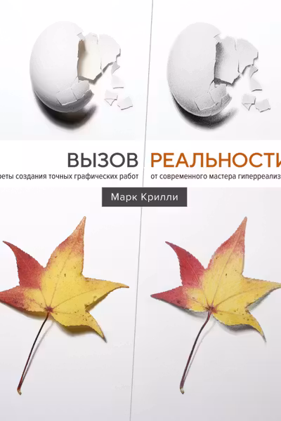 Вызов реальности. Секреты создания точных графических