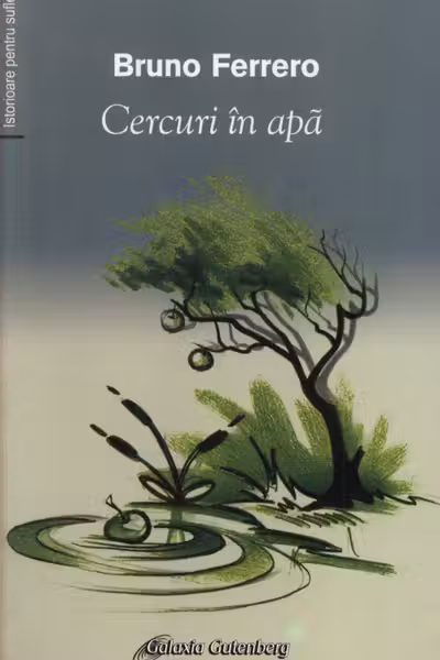 Cercuri în apă