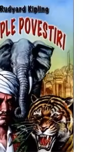 Simple povestiri