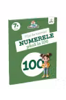 Fise de exersat. Numerele pana la 100