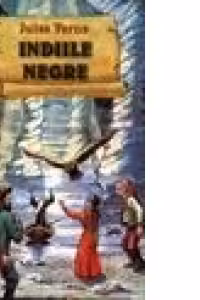 Indiile Negre