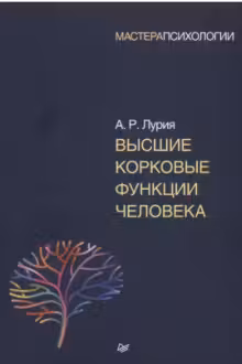Высшие корковые функции человека