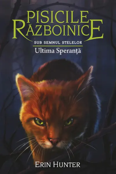 Ultima speranta