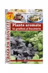 Plante aromatice in gradina si bucatarie
