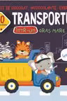 Transportul intr-un oras mare