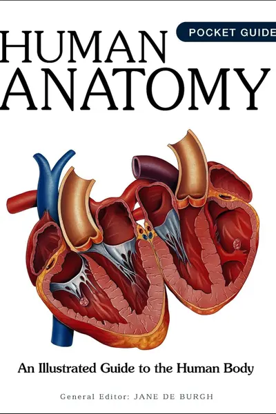 Human Anatomy