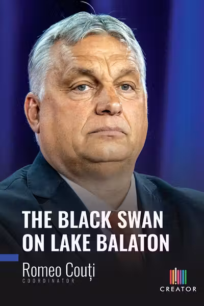 The Black Swan on Lake Balaton