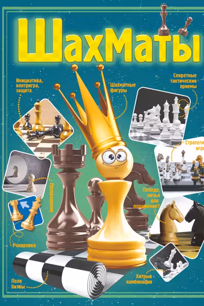Шахматы