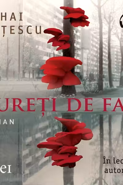 Bureți de fag (audiobook)