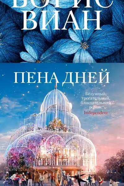 Пена дней