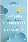 Cautarea cerului albastru. Mindfulness pentru fericire aici si acum