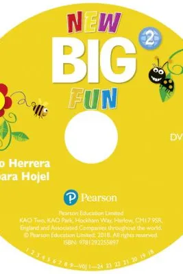 Big Fun Refresh Level 2 DVD