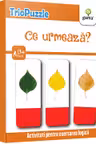Ce urmeaza?