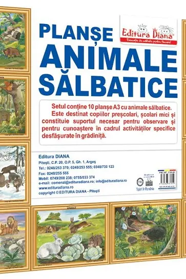 Animale sălbatice. Set 10 planșe