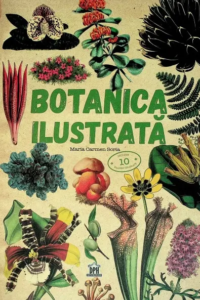 Botanica ilustrata