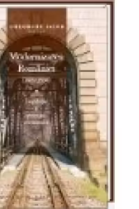 Modernizarea Romaniei (1859-1939). Legislatie si strategie economica