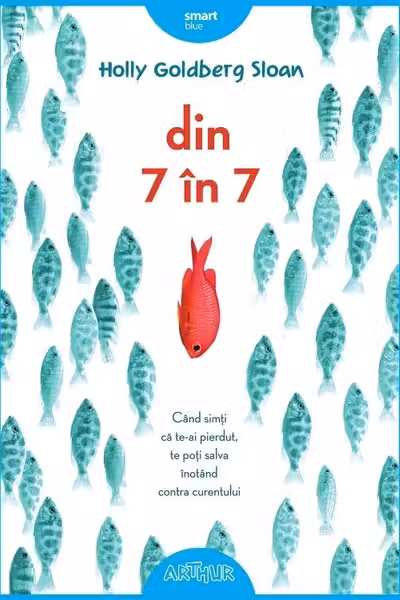 Din 7 in 7