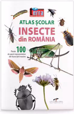 Atlas scolar. Insecte din Romania