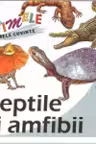 Primele mele cuvinte - Reptile si amfibii
