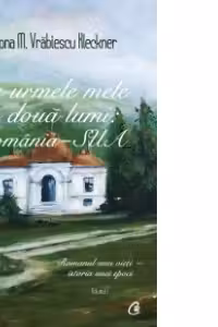 Pe urmele mele în două lumi: România-SUA Vol.1