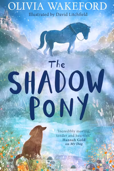 The Shadow Pony