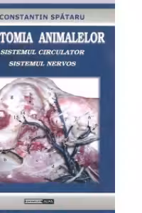 Anatomia animalelor. Sistemul circulator. Sistemul nervos