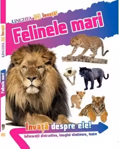 Invata! Felinele mari. Informatii distractive, imagini uimitoare, teste