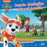 PATRULA CATELUSILOR. PATRULA CATELUSILOR SALVEAZA JOCURILE