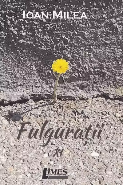 Fulgurații Vol.11