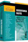 Executarea silita. Dificultati si solutii practice. Volumul I