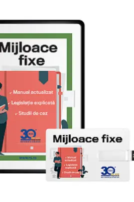 Mijloace fixe 2025