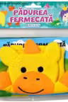 Citim in cadita! Padurea fermecata