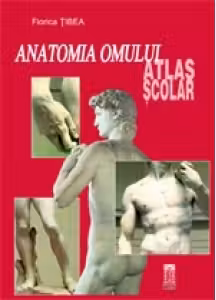 Anatomia omului - Atlas scolar