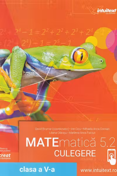 Matematică 5.2 - Clasa 5 - Culegere Vol.2